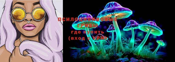 прущая мука Арсеньев