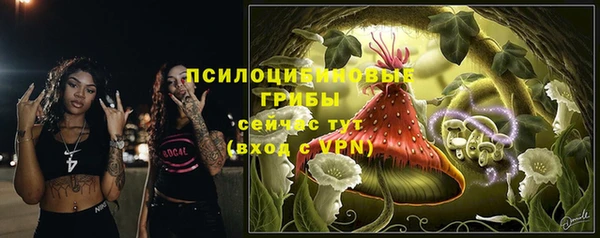 прущие грибы Армянск