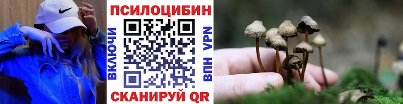 Псилоцибиновые грибы MAGIC MUSHROOMS  Купить закладки  Ладушкин 